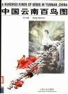 中国云南百鸟图