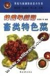 传统与新潮畜类特色菜
