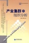 产业集群的组织分析