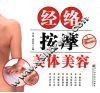 经络按摩美体美容