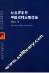 社会资本与中国农村治理改革