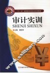 审计实训