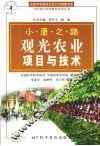 小康之路·观光农业项目与技术