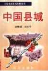 中国县城  1