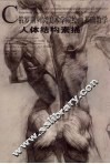 人体结构素描