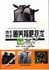肉牛肉羊圈养育肥技术