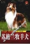 苏格兰牧羊犬  风中舞者