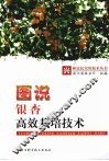 图说银杏高效栽培技术