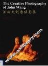 汪炳文创意摄影集  中英文本