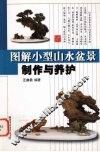 图解小型山水盆景制作与养护