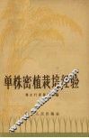 单株密植栽培经验