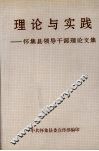 理论与实践：怀集县领导干部理论文集