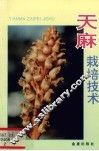 天麻栽培技术