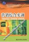 营销综合实训