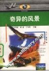 奇异的风景