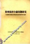 贵州农村小康问题研究