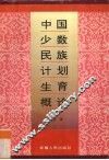 中国少数民族计划生育概论