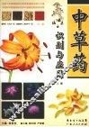 中草药识别与应用  上