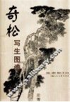 奇松写生图谱100例