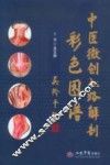 中医微创入路解剖彩色图谱