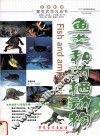 生命科学·探究式学习丛书  鱼类和两栖动物