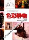 色彩静物