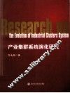 产业集群系统演化研究
