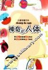 儿童智趣百科  神奇的人体