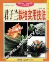 君子兰栽培实用技法