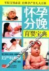 怀孕分娩育婴宝典