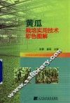 黄瓜栽培实用技术彩色图解