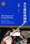 少年维特的烦恼