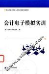 会计电子模拟实训