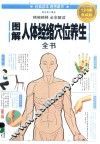 图解人体经络穴位养生全书