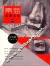 步步高  素描石膏五官教程
