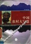 中国农村大写意