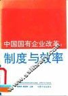 中国国有企业改革  制度与效率