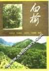 白榆