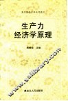 生产力经济学原理