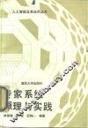 专家系统原理与实践