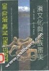 滇文化与民族审美