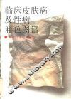临床皮肤病及性病彩色图谱