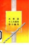 共青团十三大报告学习辅导
