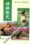 神秘的犬