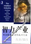 智力产业  专业服务公司的成功之道