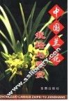 中国兰花栽培与鉴赏