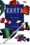 家庭观赏鱼