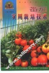 番茄实用栽培技术