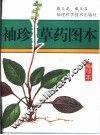 袖珍草药图本