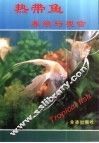 热带鱼养殖与观赏